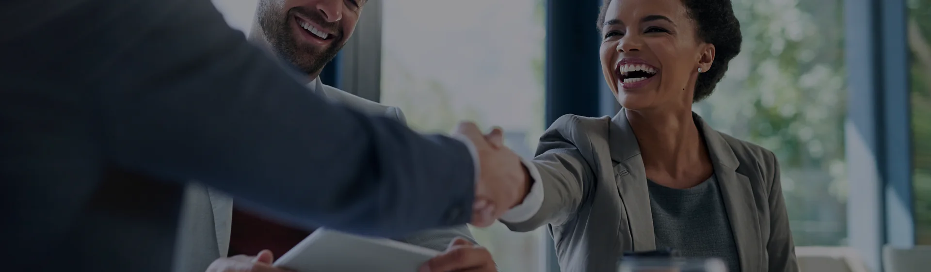 Partner Program Background