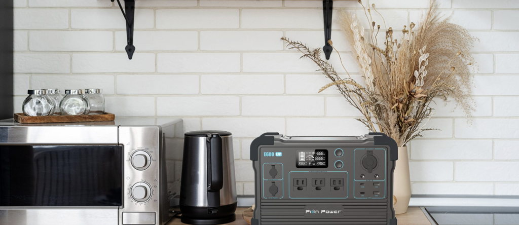 Pion Power E600LFP: Mid-Sized Muscle